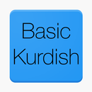 Basic Kurdish Words APK