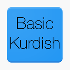 Basic Kurdish Words ícone