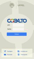Cobalto UFPel постер