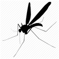 ”Mosquito Net Counting Holes (Unreleased)