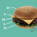 Dieta dos Pontos - Controle APK
