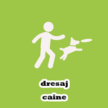 Dresaj Caine