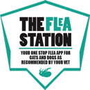 The Flea Station APK