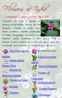 Flowers of India plakat