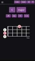 Ukulele Chords & Scales poster