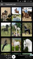 Horse Magazine Affiche