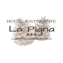 Hotel La Pigna APK