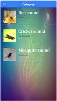 Insect sounds Affiche