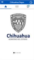 Chihuahua Pagos Affiche