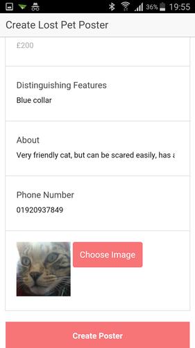 43 Best Images Missing Cat Poster Generator / Online Have You Seen My Cat Poster Template Fotor Design Maker