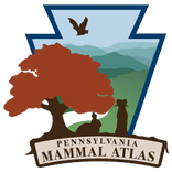 Pa Mammal Atlas -Track Mammals