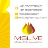 Mslive - Live Streaming Server icône