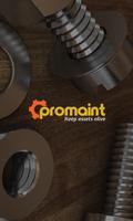 Promaint постер