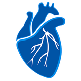 My Heart Risk icône