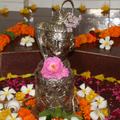 Nagar-Brhamin