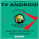 TV ROMANIA DIASPORA APK