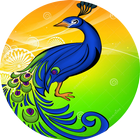 Peacock Browser - Fast Download 아이콘