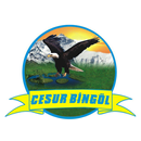 Cesur Bingöl Seyahat APK