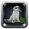 #thuglife photo sticker maker