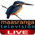 Maasranga Tv icône