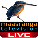 Maasranga Tv आइकन