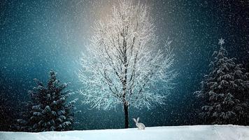 Tree wallpapers poster