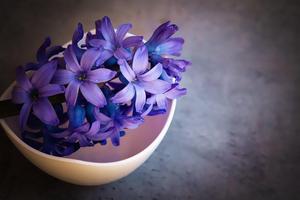 Papéis de parede de flores vio imagem de tela 1