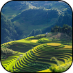 Vietnam hintergrundbilder und 
