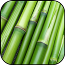 Tre hình nền và hình nền APK
