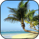 Cuba wallpapers APK