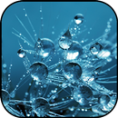 Drops wallpapers APK