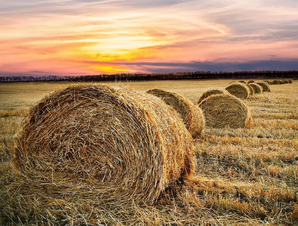 Farming wallpapers for Android - APK Download