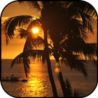 Hawaii wallpapers simgesi