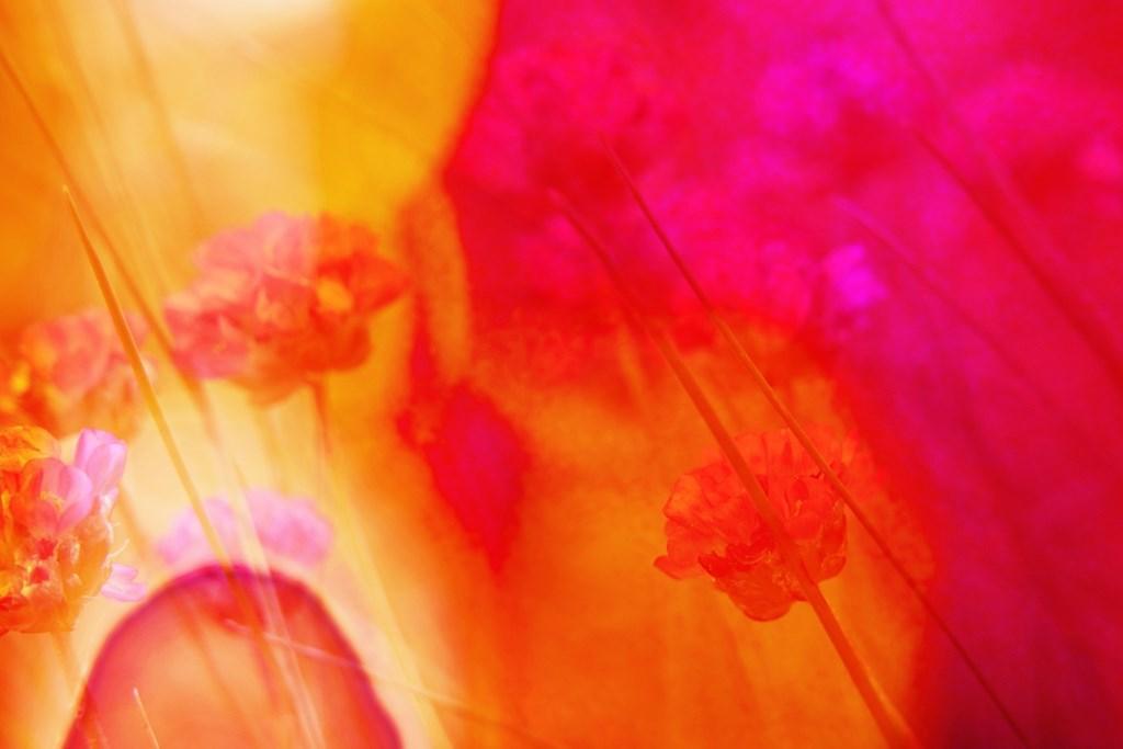 Download 5000 Wallpaper Abstrak Orange Terbaru Download 5000 Wallpaper Abstrak Orange Terbaru
