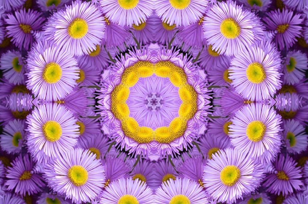 Latar Belakang Background Ungu Keren - Paimin Gambar