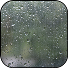 Papéis de parede de chuva e fu ícone