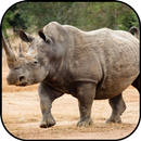 Rhino wallpapers APK