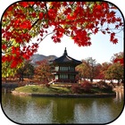 Seoul wallpapers icon