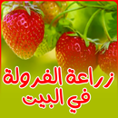 زراعة الفرولة في البيت APK