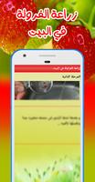 زراعة الفرولة في البيت poster