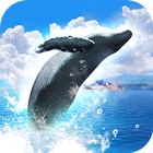 REAL WHALES Find the cetacean. ícone