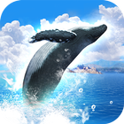 REAL WHALES Find the cetacean. Zeichen