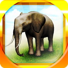 REAL ANIMALS HD (Full) icono