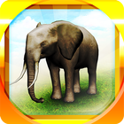 REAL ANIMALS HD (Full) آئیکن