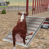 Farm Animals Transporter Truck آئیکن