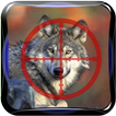 wild Wolf Hirsch Jagd Saison