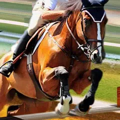Horse Simulator 3D