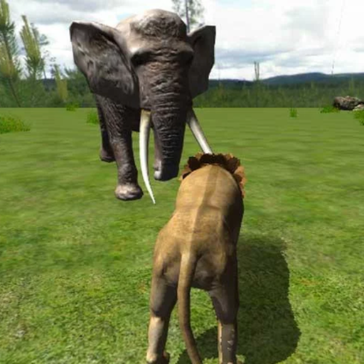 Real Lion Simulator 3D