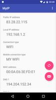 MyIP captura de pantalla 1