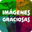 Imágenes Graciosas p Compartir APK